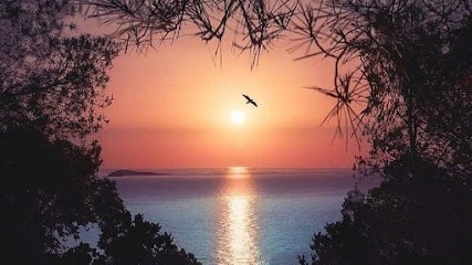 Sophrologue Azria David, Praticien de Médecine Alternative à Montagnac