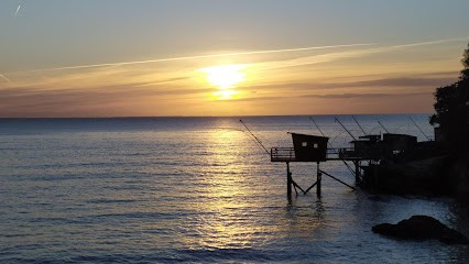 CAROLE CHAPART NATUROPATHE Thérapeute En Soins Quantiques Biorésonance, Praticien de Médecine Alternative à Corsept