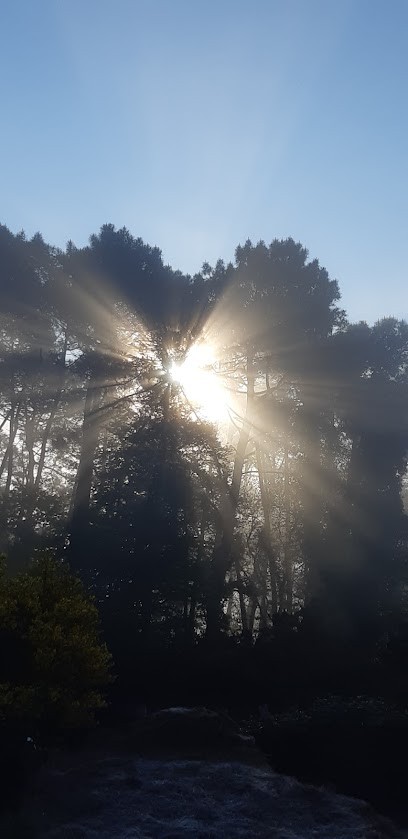 Grégory Perrin Chaman, Praticien de Médecine Alternative à Marzan