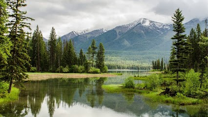 Adeline Espinosa - Magnétiseuse - Thérapeute Spirituel - Naturopathe, Praticien de Médecine Alternative à Nogent-le-Roi