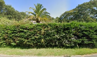 Blandine De Mirman - Naturopathe, Praticien de Médecine Alternative à Seignosse