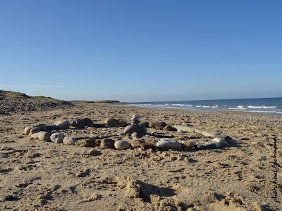 Naël Magnétisme, Praticien de Médecine Alternative à Fontanil-Cornillon