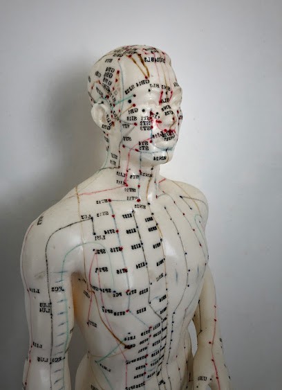 Shiatsu Aurélien Gaudin, Praticien de Médecine Alternative à Oudon