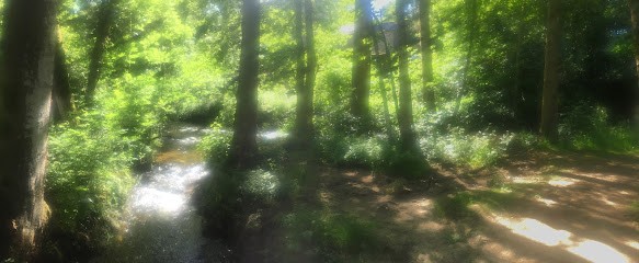 catherine fouchard reflexologie, Réflexologue au Pellerin