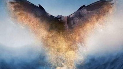 Les yeux et les mains de Cat, Praticien de Médecine Alternative à Bailleul-sur-Thérain