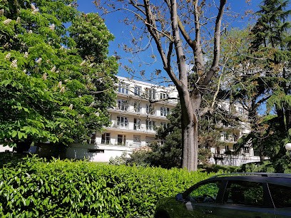 Elise Calmat - Shiatsu - Drainage lymphatique Brésilien et Vodder - Massage Amincissant - Kobido - Hypnose, Praticien de Médecine Alternative au Port-Marly