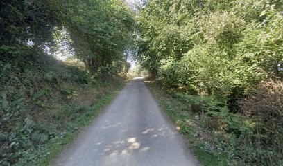 Germain Valérie, Praticien de Médecine Alternative à Plougonven