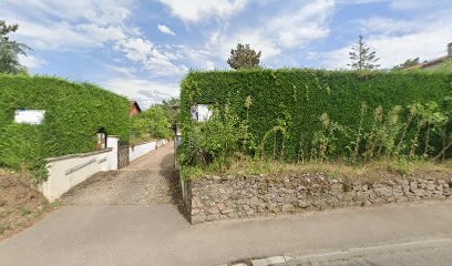 Patrizia Magnétiseur-Guérisseur, Praticien de Médecine Alternative à Craponne