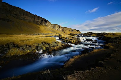 Anne-Audrey BOSCARDIN Naturopathe, Praticien de Médecine Alternative à Villeurbanne