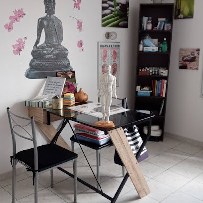 Sandrine Maussion THERAPIES CHINOISES, Praticien de Médecine Alternative à Arles