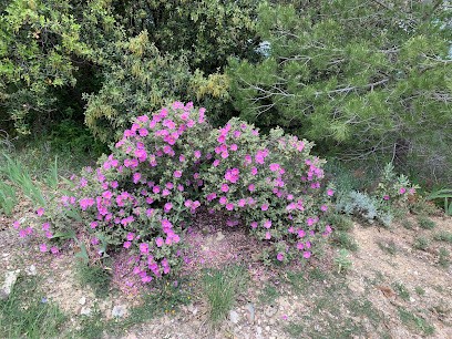 Janahad, Praticien de Médecine Alternative à Collorgues