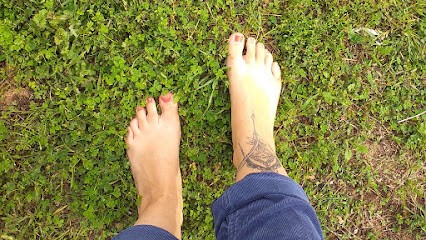 Réflexologie plantaire et facio-crânienne / lithothérapie Noémie Fuma, Réflexologue à Saint-Brevin-les-Pins