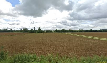 Sandra Nox - Médium, énergéticienne, communication animale, Praticien de Médecine Alternative à Lombez