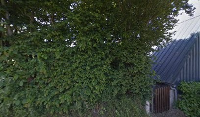 Jacques Lafosse, Praticien de Médecine Alternative à Saint-Pierre-du-Fresne