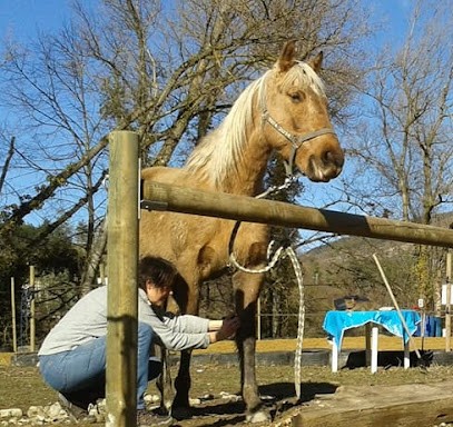 AnimaOlistic, Praticien de Médecine Alternative à Suze