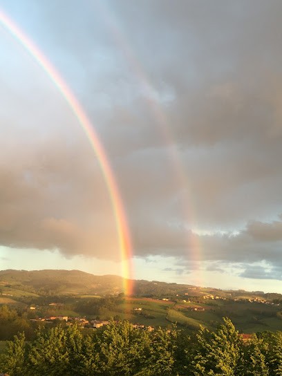 Jean-Luc Delobre - Sophie Trunel : Magnétiseurs - Rebouteux - Coupeurs De Feu, Praticien de Médecine Alternative à Chazelles-sur-Lyon