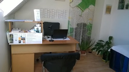 Mamberti Isabelle, Praticien de Médecine Alternative à Saint-Maurice-Montcouronne