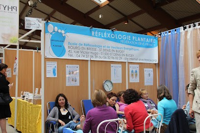 Federation Erve France, Réflexologue à Mignaloux-Beauvoir