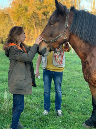 Sandrine Briand Magnétiseuse, Praticien de Médecine Alternative à Dinard