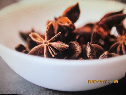 PHYTARO:PRATICIEN En MEDECINE NATURELLE/PHYTOTHERAPIE/AROMATHERAPIE/REMEDES-SIREN 897 581 864, Praticien de Médecine Alternative à Saintes