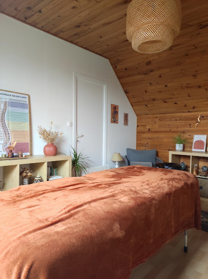 Véronique Le Bot - Ostéothérapeute, Magnétiseuse, Coupeur De Feu, Massage Amma, Praticien De Médecine Alternative à Pencran