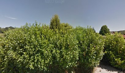 Fassier Alain, Réflexologue à Hauteville-sur-Fier