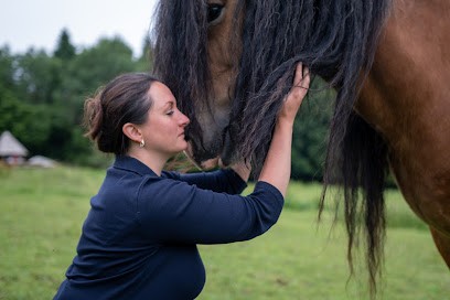 L'Equi'Libre Avec La Médiation Equine, Praticien de Médecine Alternative à Granges-Narboz