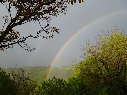Agnes Ferrand, Magnétiseuse, Praticien de Médecine Alternative à Prendeignes
