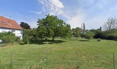 Hygiéniste - Naturopathe Marie-Rose Caruso, Praticien de Médecine Alternative à Pfastatt