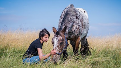 Justine Viel - Naturopathe, Praticien de Médecine Alternative à Sainte-Pazanne