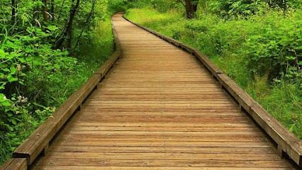 Cécile LAMOURE, Praticien de Médecine Alternative à Beaune