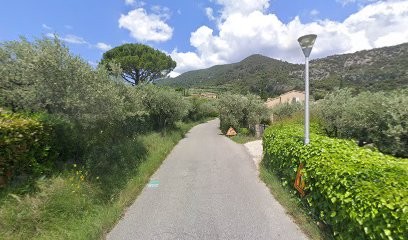 Lysiane Bouchet, Praticien de Médecine Alternative à Nyons