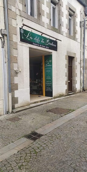 Hélène Barbette Thérapeute Holistique - Médium, Praticien de Médecine Alternative à Lesneven