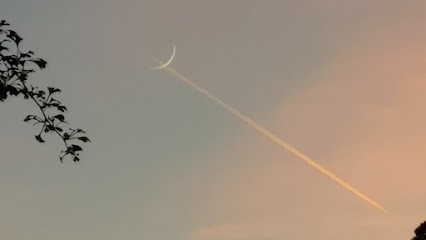 Isabelle Talpain Sophrologue Arthérapeute E.I. Dijon Couternon, Praticien de Médecine Alternative à Couternon