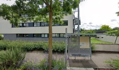 Delphine Zachary-Delacour, Praticien de Médecine Alternative à Toul