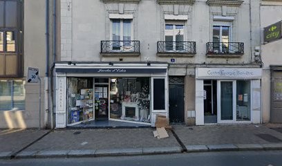 terre2detente - Massage à domicile / cabinet, Praticien de Médecine Alternative à Angers