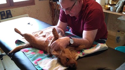 Bernier Thierry, Praticien de Médecine Alternative à Guémené-Penfao