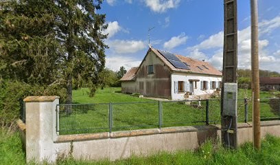 Sylvie Naturopathie chien chat cheval, Praticien de Médecine Alternative aux Châtelets