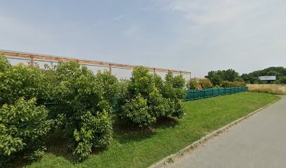 Cathy Douay - Naturopathie Et Réflexologie Plantaire, Praticien de Médecine Alternative à Salleboeuf