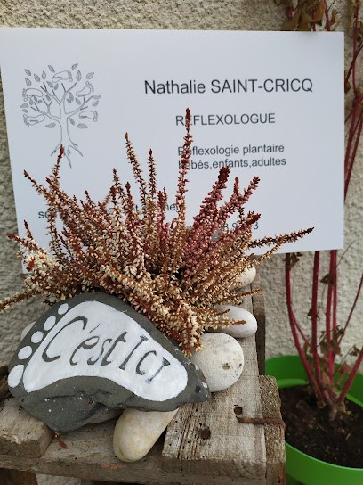 EI Nathalie Saint Cricq ISSOIRE, Réflexologue à Issoire