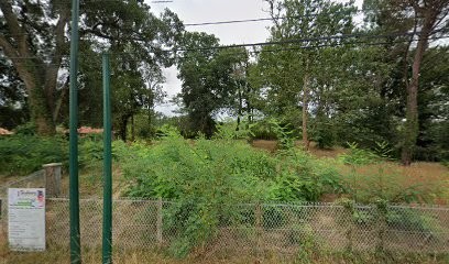 Julie Bourron - Naturopathe-Iridologue/Méthode Quantico, Praticien de Médecine Alternative à Magescq