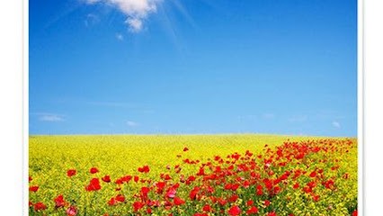 Demay Guillaume, Réflexologue à La Tâche