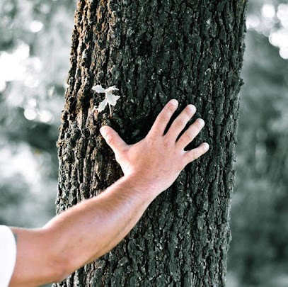 DONNA MAGNE Magnétisme & Praticien Massage, Praticien de Médecine Alternative à Puymiclan