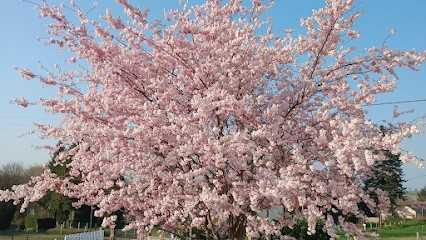 Christelle CHAILLON, Hypnothérapeute à Valdallière