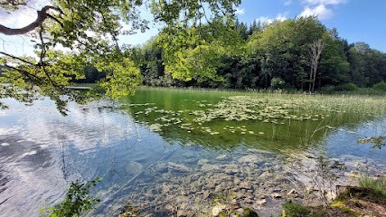 CZUBEK Marie-Ange énergéticienne, Praticien de Médecine Alternative à Châteaurenard
