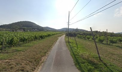 RêVe'L création & bien-être Véronique Rozier, Réflexologue à Saint-Romain-de-Popey