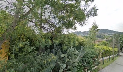 Mélanie Honorat - Naturopathe, Diététicienne, Praticien de Médecine Alternative à Saint-Tropez