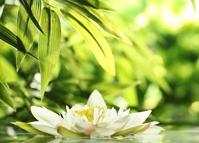 Katia Sophrologie La Valette, Praticien de Médecine Alternative à Toulon