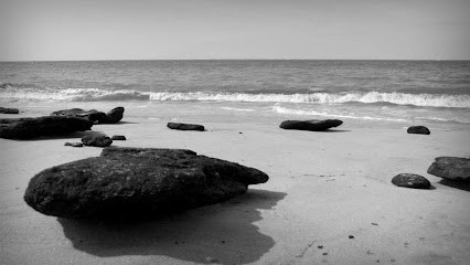 Beylot Sybille, Praticien de Médecine Alternative à Olivet