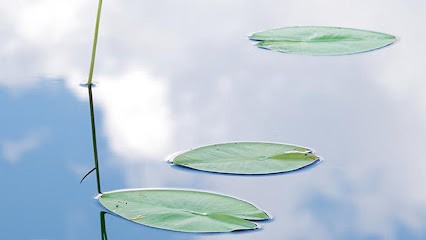 Olivier Kimmerlin-Fischer - Hypnothérapeute, Hypnothérapeute à Montbéliard